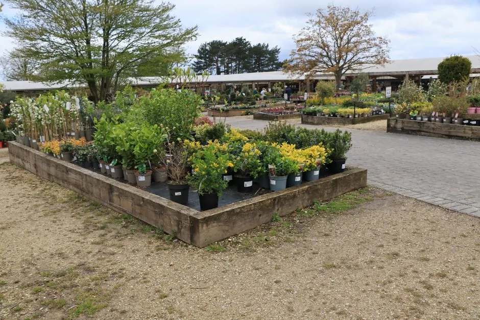 Travail d'entretien dans un jardin