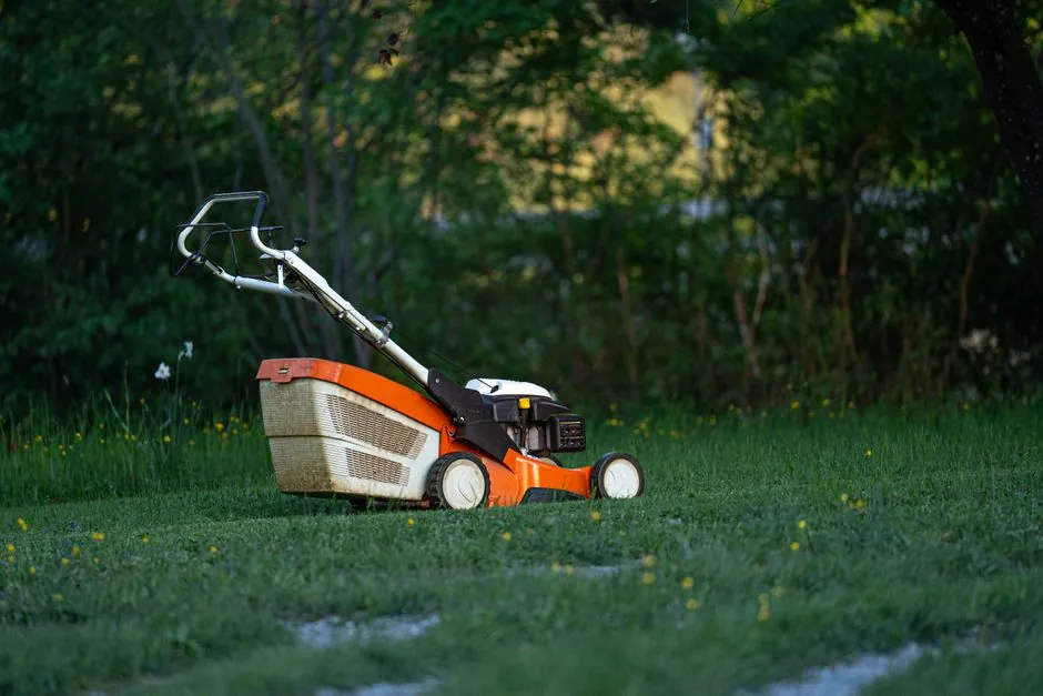 Taille de haies dans un jardin particulier