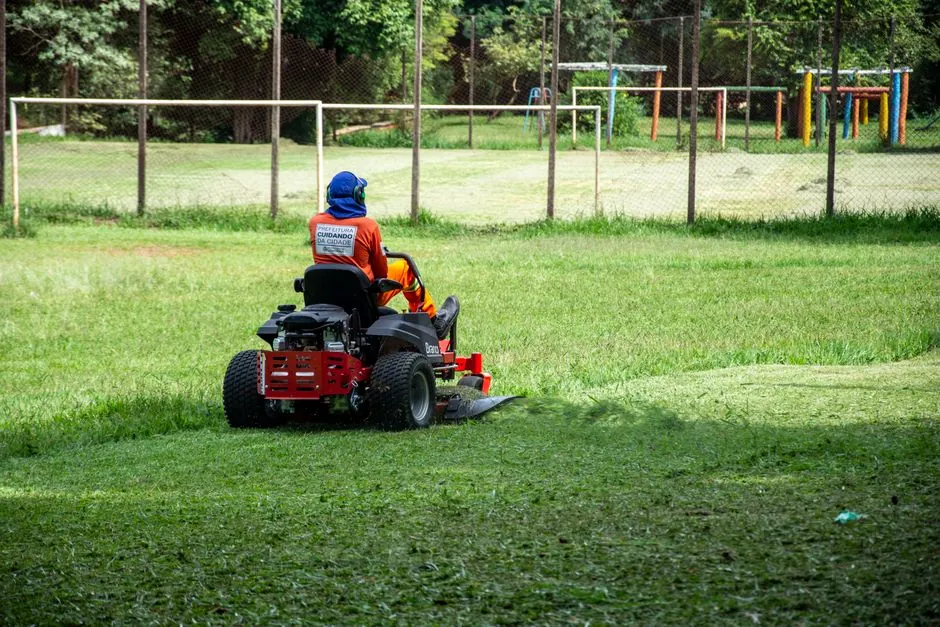 Travail d'entretien sur arbustes