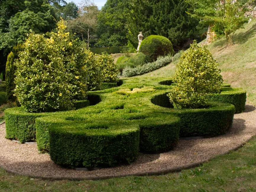 Jardin entretenu, vue d'ensemble